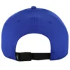 Skech-Shine Foil Baseball Hat
