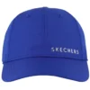 Skech-Shine Foil Baseball Hat