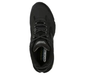 Vigor 3.0
